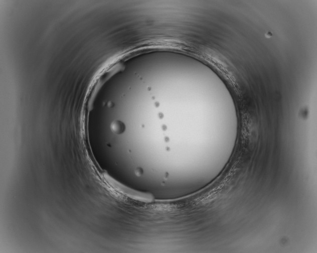 X0000101191188200806271308