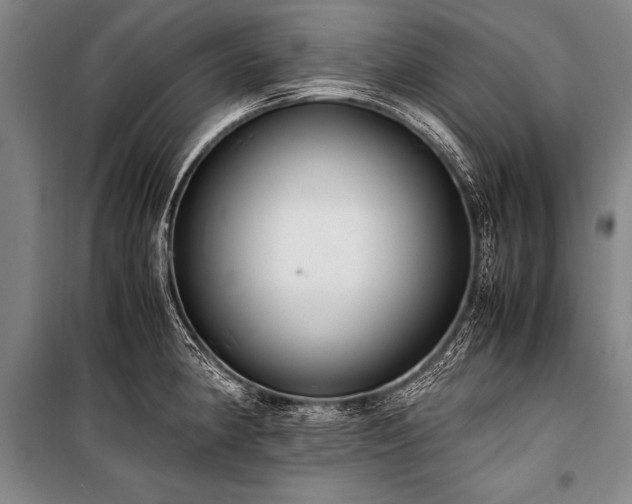 X0000101191190200806271308