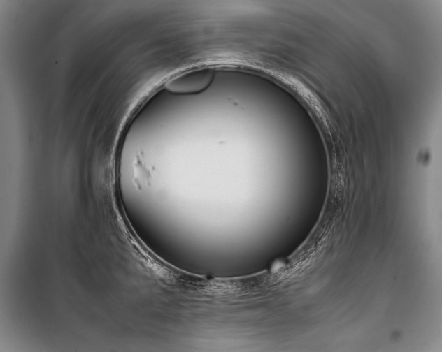 X0000101191191200806271308