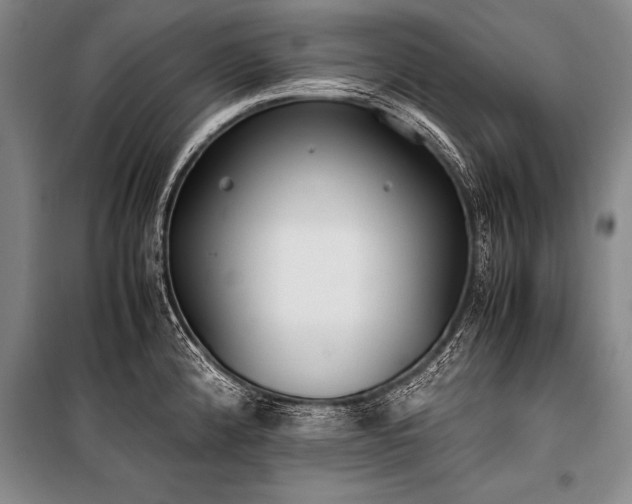 X0000101191192200806271308