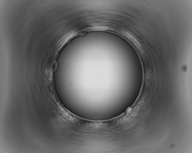 X0000101191193200806271308