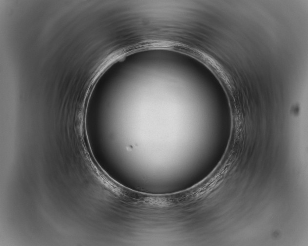 X0000101191194200806271308