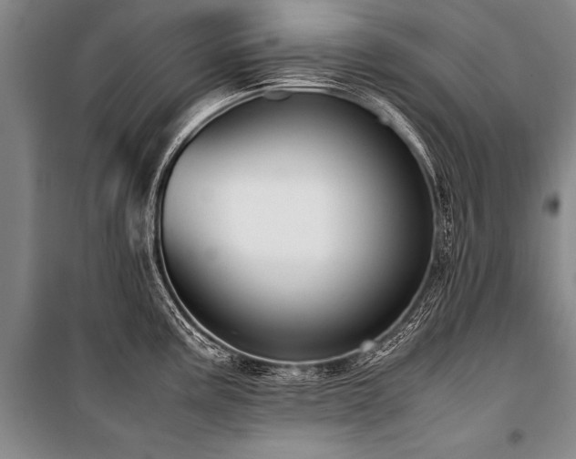 X0000101191195200806271308