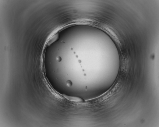 X0000101191196200806271308
