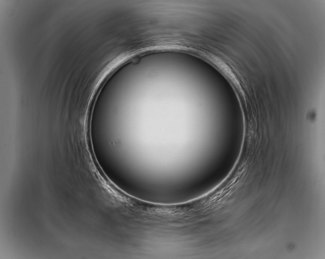 X0000101191197200806271308