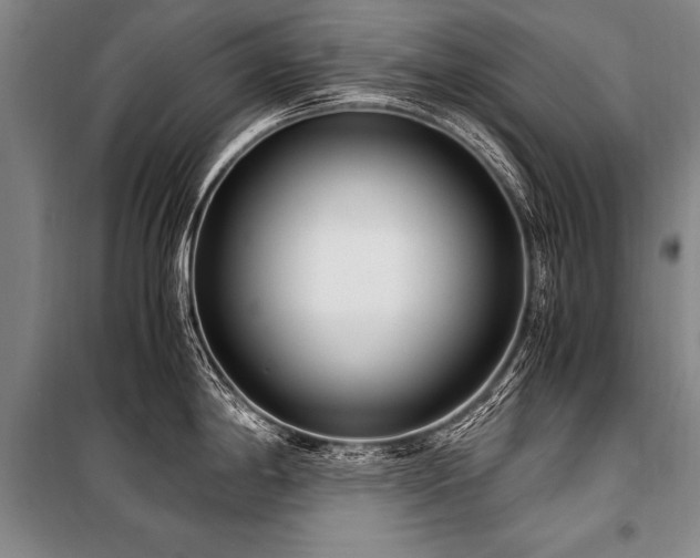 X0000101191198200806271308