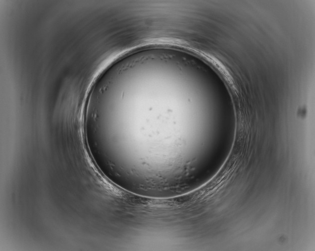X0000101191199200806271308