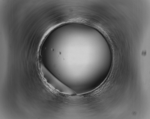 X0000101191200200806271308