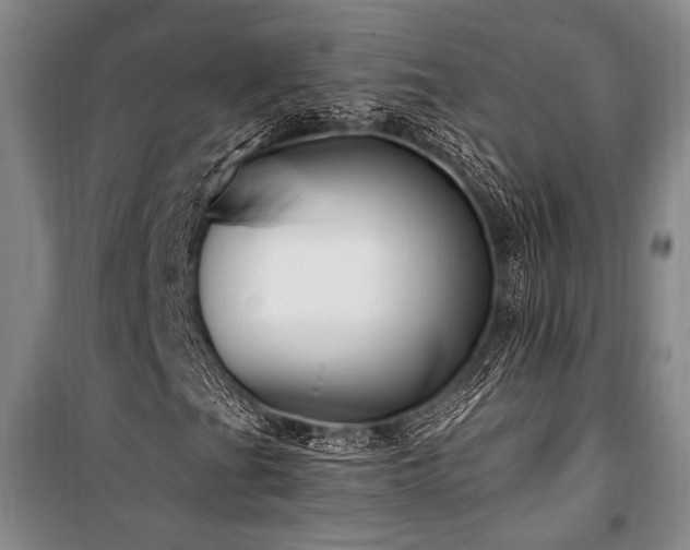 X0000101191201200806271307