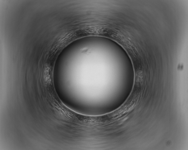 X0000101191202200806271307