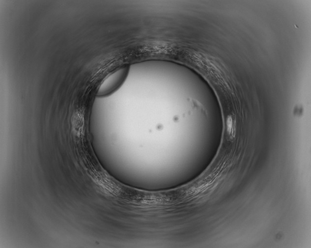 X0000101191203200806271307