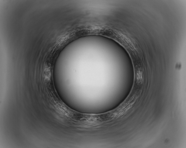 X0000101191204200806271307
