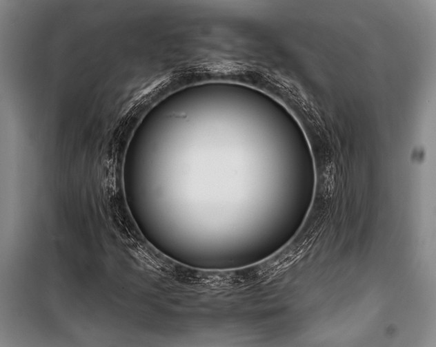 X0000101191205200806271307