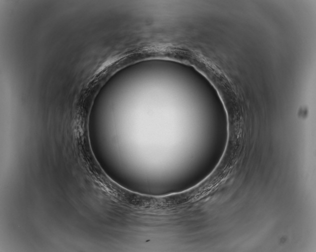 X0000101191206200806271307