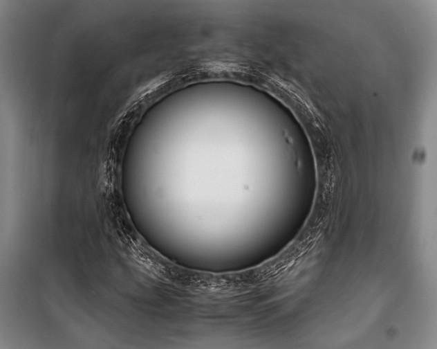 X0000101191207200806271307