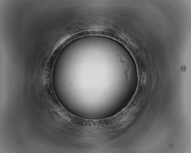 X0000101191208200806271307