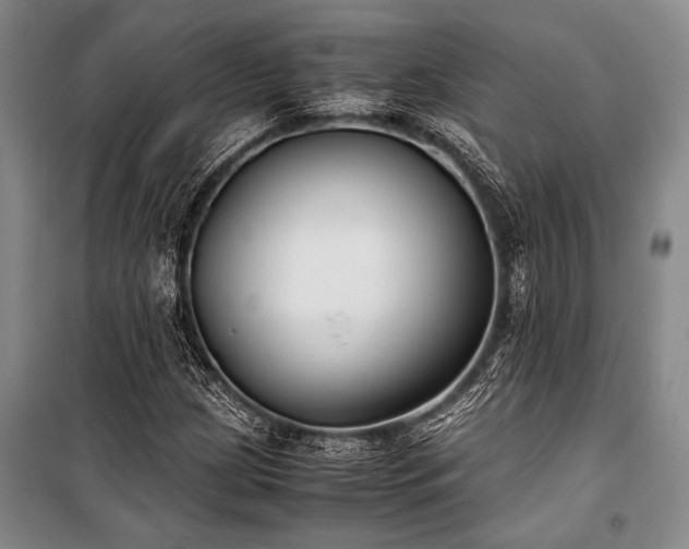 X0000101191209200806271307