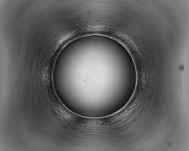 X0000101191210200806271307