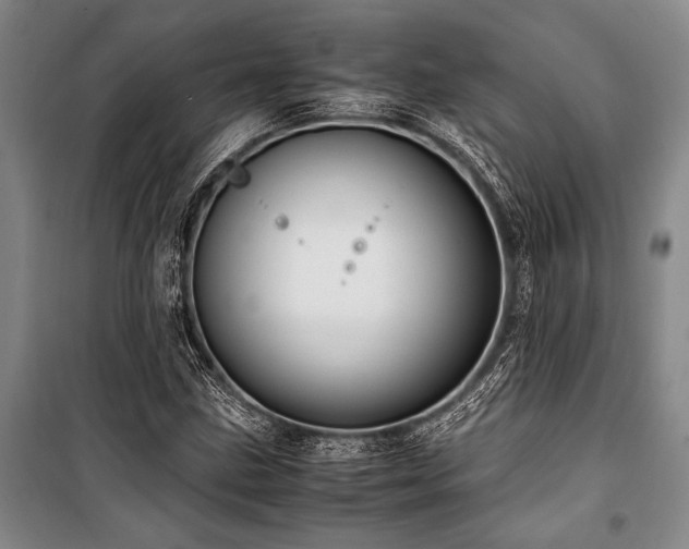 X0000101191211200806271307