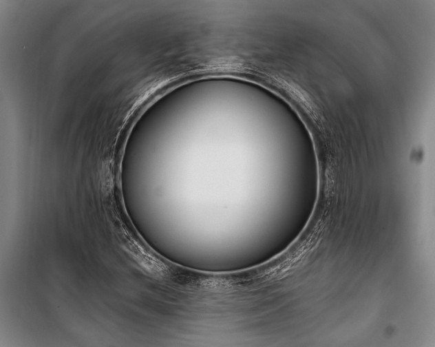 X0000101191212200806271308