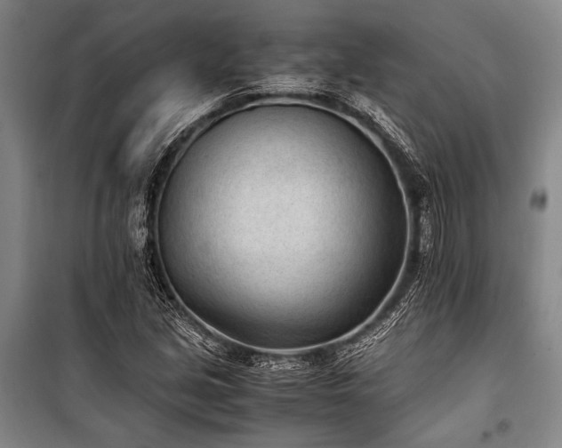 X0000101191213200806271308