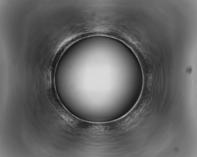 X0000101191214200806271308