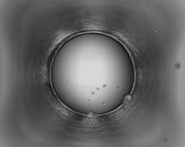 X0000101191215200806271308