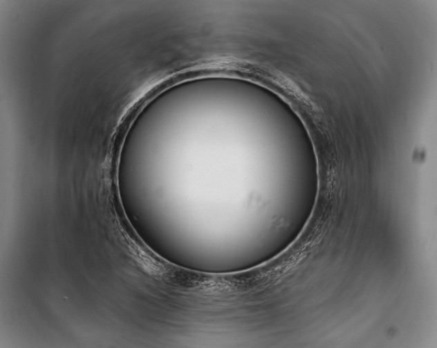 X0000101191216200806271308