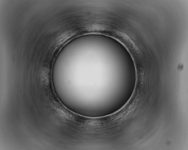 X0000101191217200806271308
