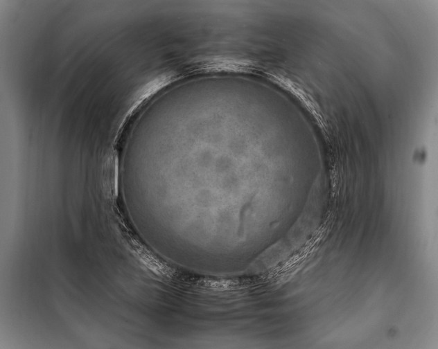 X0000101191219200806271308