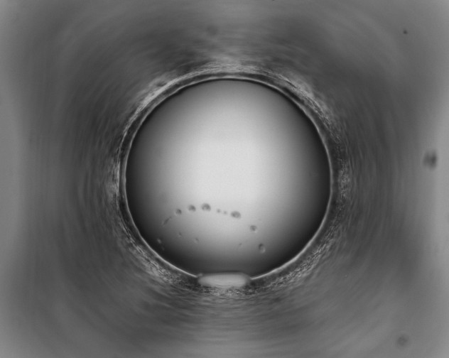 X0000101191220200806271308