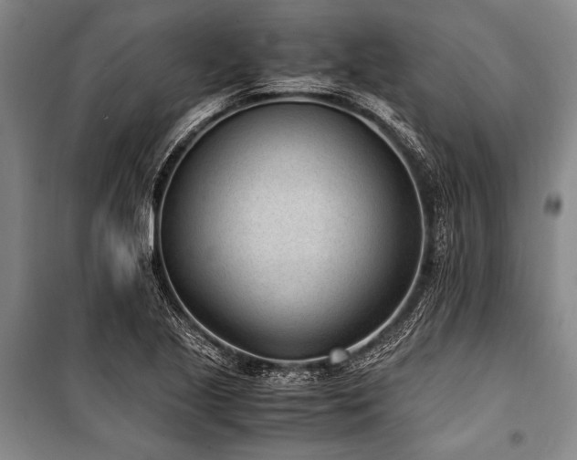X0000101191221200806271308