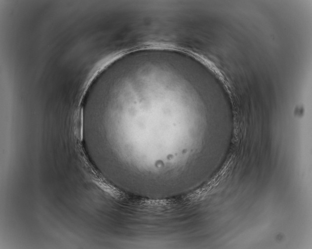 X0000101191223200806271308