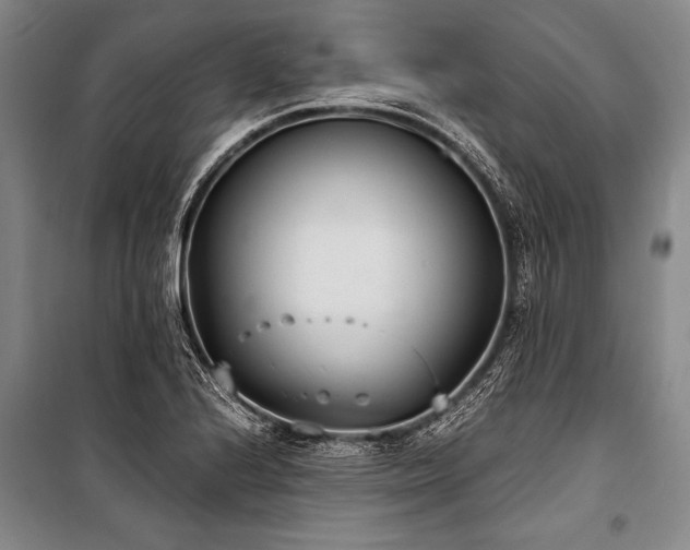 X0000101191224200806271308