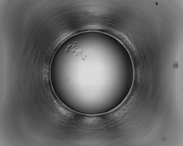 X0000101191225200806271308