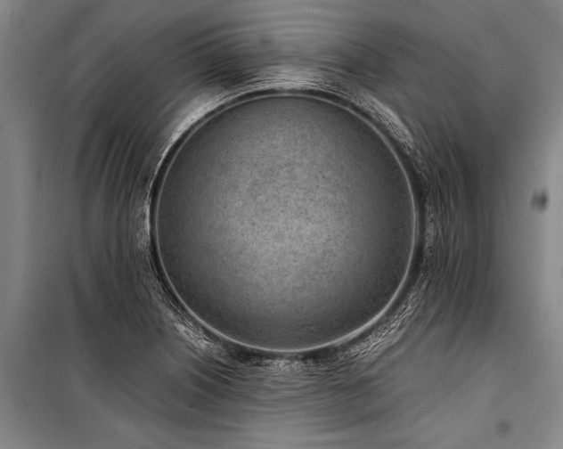 X0000101191226200806271308