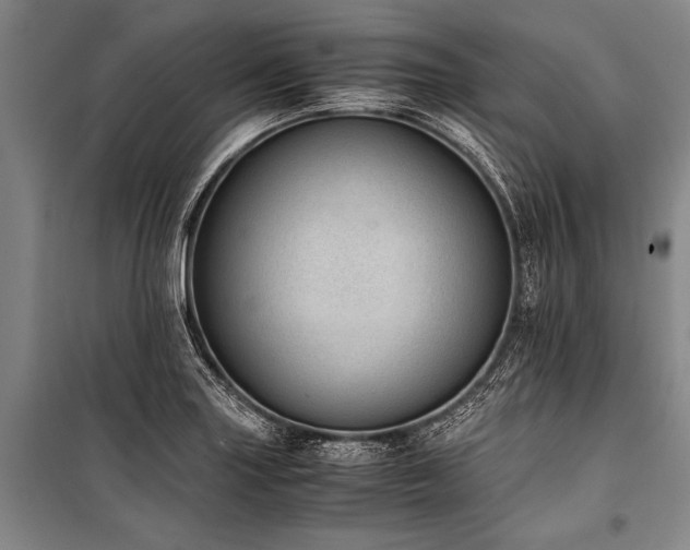 X0000101191227200806271308