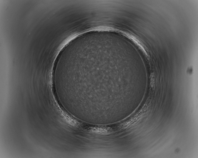 X0000101191229200806271308