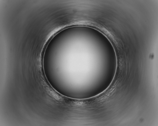 X0000101191230200806271308