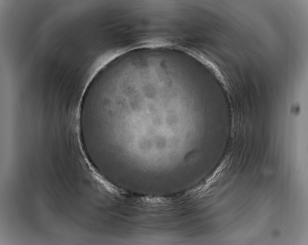 X0000101191231200806271308
