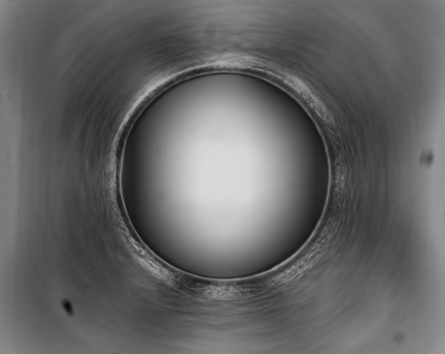 X0000101191232200806271308
