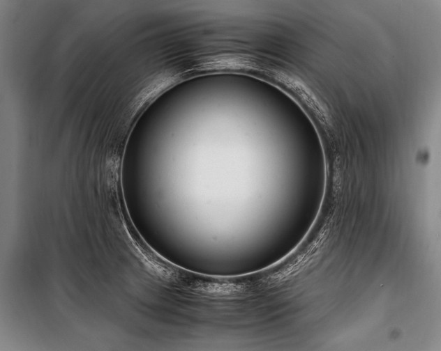 X0000101191233200806271308