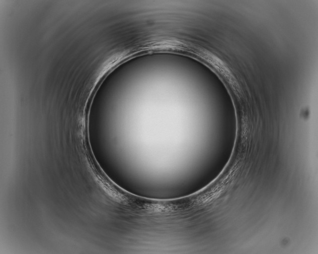 X0000101191234200806271308