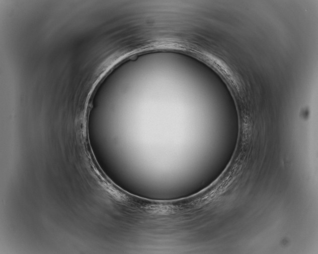 X0000101191236200806271308