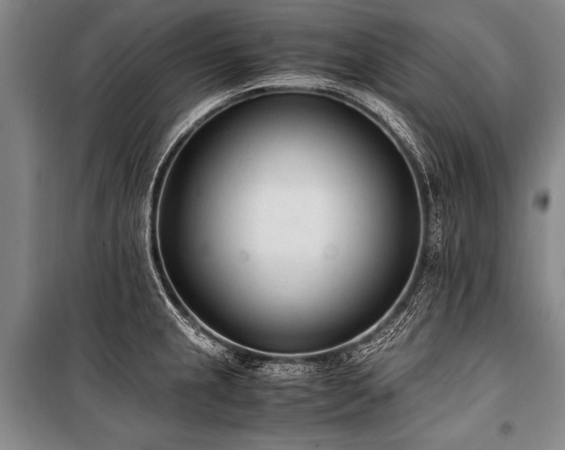 X0000101191237200806271308