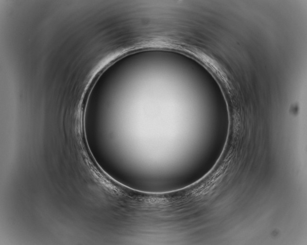X0000101191238200806271308