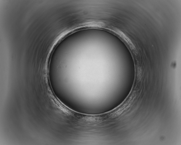 X0000101191240200806271308