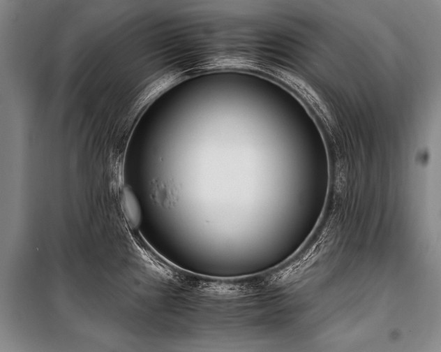 X0000101191241200806271308