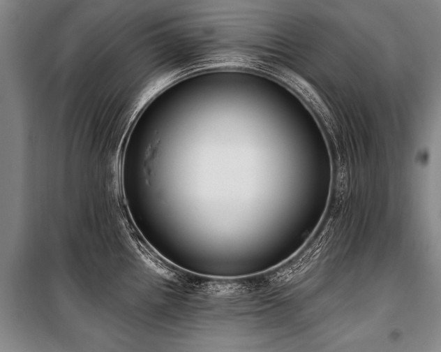 X0000101191242200806271308