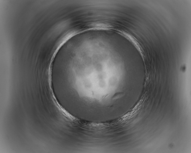 X0000101191243200806271308